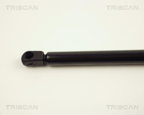 Vérin (Vérin de hayon) Triscan A/S 8710 24201