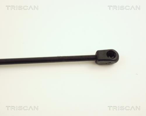 Vérin (Vérin de hayon) Triscan A/S 8710 24201