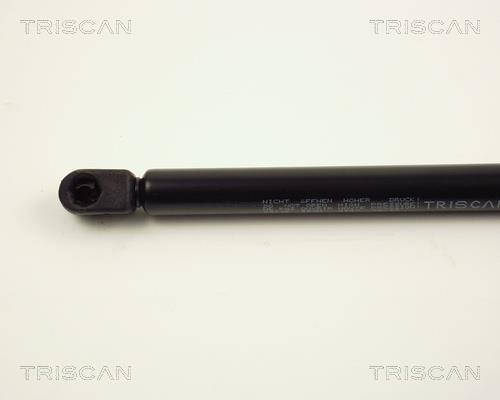 Vérin (Vérin de hayon) Triscan A/S 8710 24202