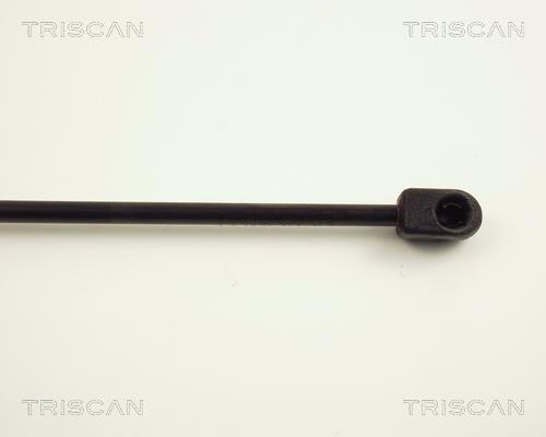 Vérin (Vérin de hayon) Triscan A/S 8710 24202