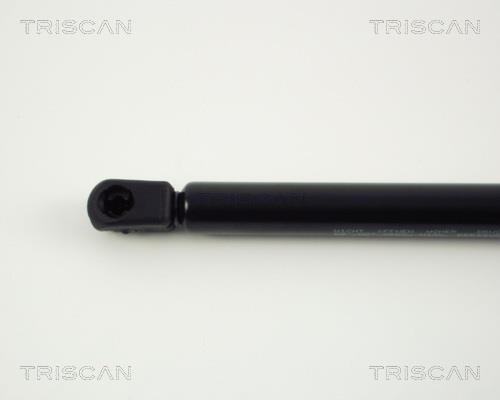 Vérin (Vérin de hayon) Triscan A/S 8710 24203
