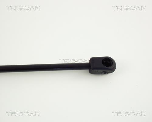 Vérin (Vérin de hayon) Triscan A/S 8710 24203
