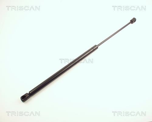Muelle neumático Triscan A/S 8710 24204
