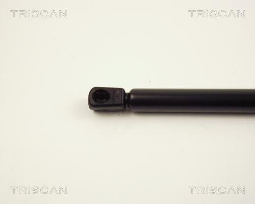Muelle neumático Triscan A/S 8710 24204