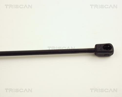 Muelle neumático Triscan A/S 8710 24204