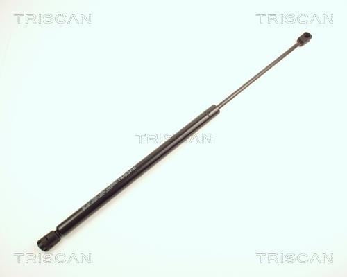Vérin (Vérin de hayon) Triscan A/S 8710 24205