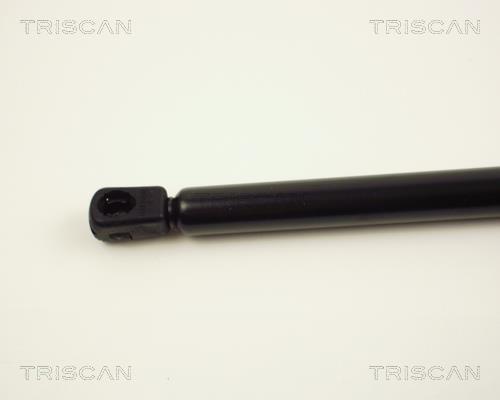 Vérin (Vérin de hayon) Triscan A/S 8710 24205