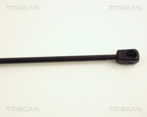 Vérin (Vérin de hayon) Triscan A/S 8710 24205