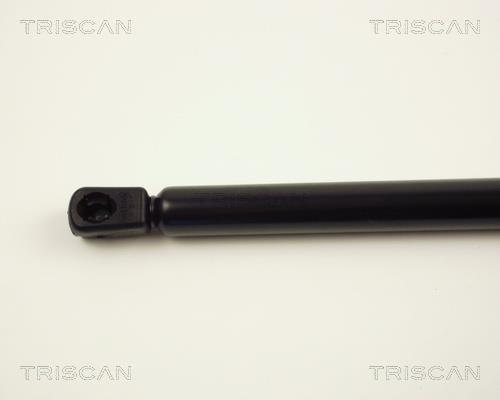 Vérin (Vérin de hayon) Triscan A/S 8710 24206