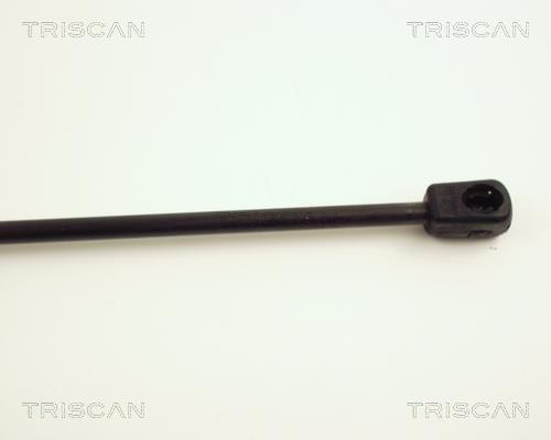 Vérin (Vérin de hayon) Triscan A/S 8710 24206