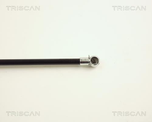 Vérin (Vérin de hayon) Triscan A/S ref. 8710 24207