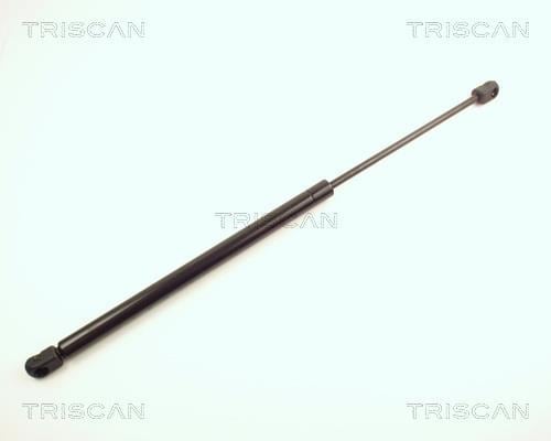 Vérin (Vérin de hayon) Triscan A/S ref. 8710 24208