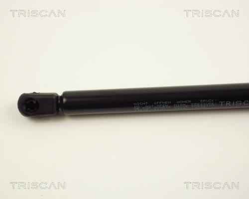 Vérin (Vérin de hayon) Triscan A/S ref. 8710 24208