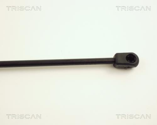 Vérin (Vérin de hayon) Triscan A/S ref. 8710 24208