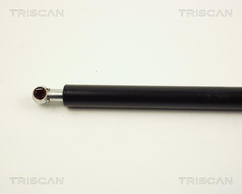Vérin (Vérin de hayon) Triscan A/S 8710 24209