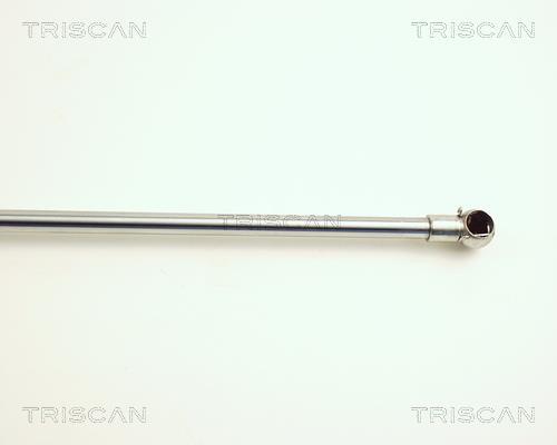 Vérin (Vérin de hayon) Triscan A/S 8710 24209