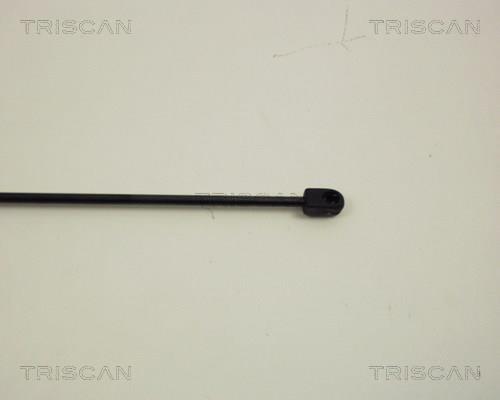 Muelle neumático Triscan A/S ref. 8710 24210