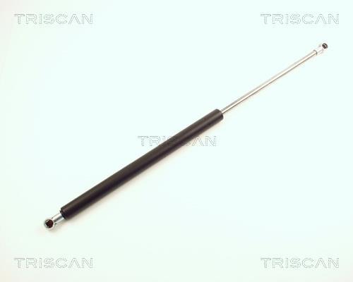 Vérin (Vérin de hayon) Triscan A/S 8710 24212