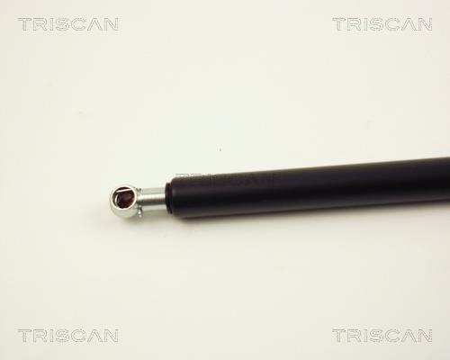 Vérin (Vérin de hayon) Triscan A/S 8710 24212