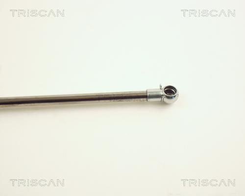 Vérin (Vérin de hayon) Triscan A/S 8710 24212
