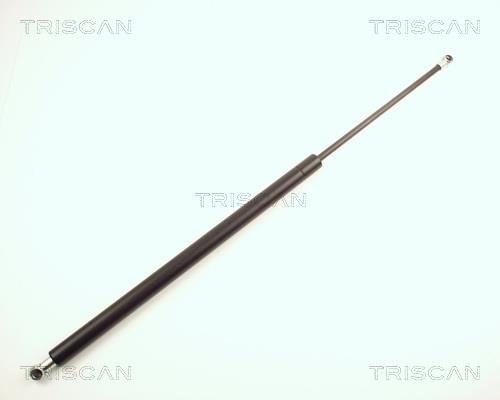 Cilindro Triscan A/S 8710 24213