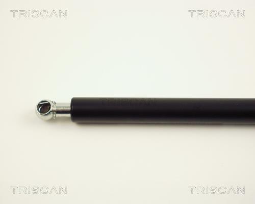 Cilindro Triscan A/S 8710 24213