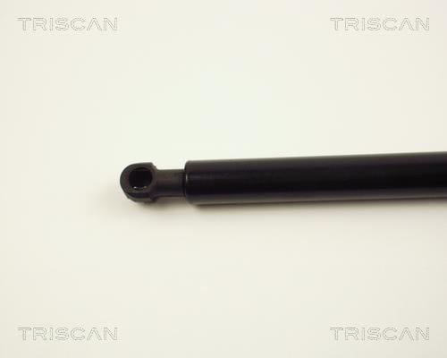 Muelle neumático Triscan A/S 8710 24214