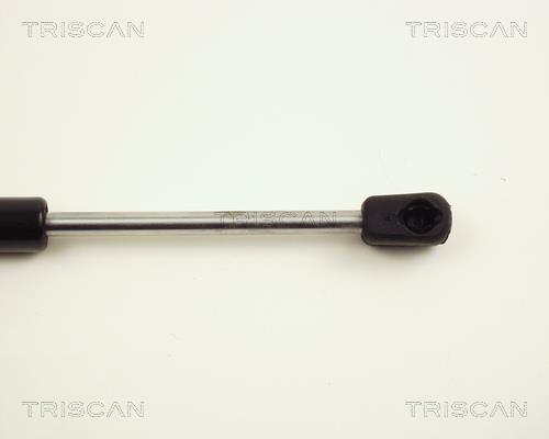 Muelle neumático Triscan A/S 8710 24214