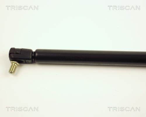 Vérin (Vérin de hayon) Triscan A/S ref. 8710 24215
