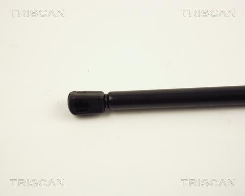 Vérin (Vérin de hayon) Triscan A/S 8710 24216