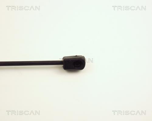 Vérin (Vérin de hayon) Triscan A/S 8710 24216
