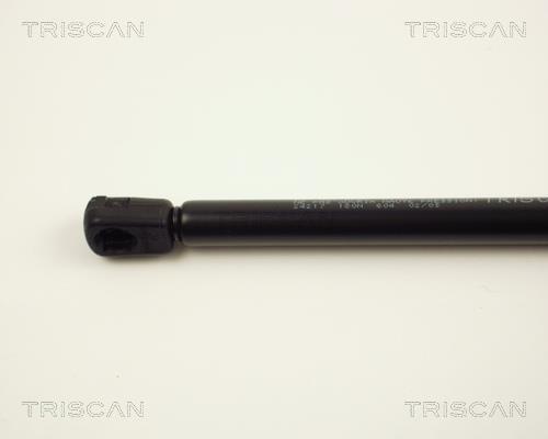 Vérin (Vérin de hayon) Triscan A/S 8710 24217