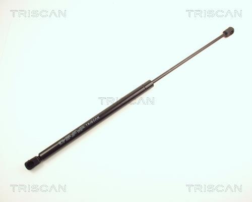 Cilindro Triscan A/S 8710 24218
