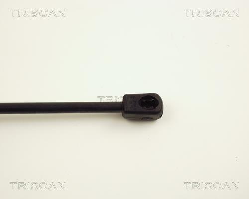 Cilindro Triscan A/S 8710 24218