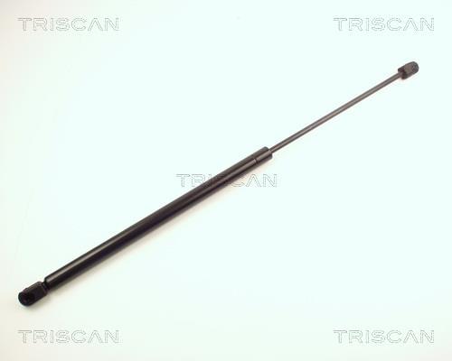 Vérin (Vérin de hayon) Triscan A/S 8710 24219