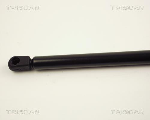 Vérin (Vérin de hayon) Triscan A/S 8710 24219