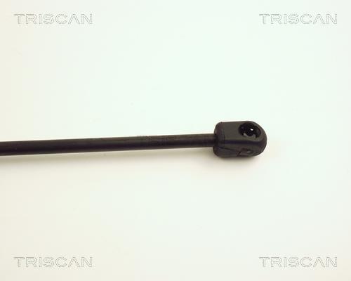 Vérin (Vérin de hayon) Triscan A/S 8710 24219