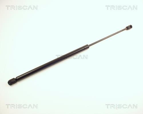 Vérin (Vérin de hayon) Triscan A/S 8710 24220