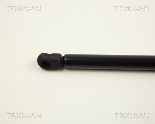 Vérin (Vérin de hayon) Triscan A/S 8710 24220