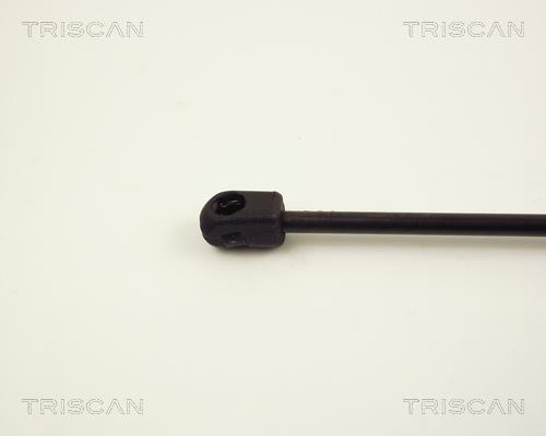 Vérin (Vérin de hayon) Triscan A/S 8710 24220
