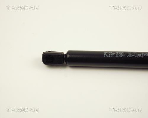 Vérin (Vérin de hayon) Triscan A/S 8710 24222