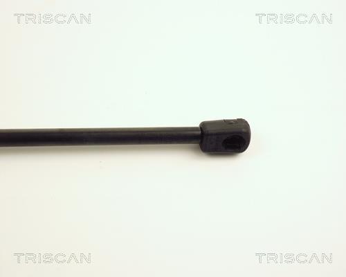 Vérin (Vérin de hayon) Triscan A/S 8710 24222