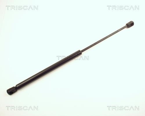 Vérin (Vérin de hayon) Triscan A/S ref. 8710 24223