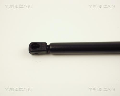 Vérin (Vérin de hayon) Triscan A/S ref. 8710 24223