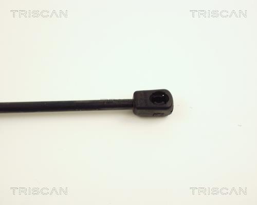 Vérin (Vérin de hayon) Triscan A/S ref. 8710 24223