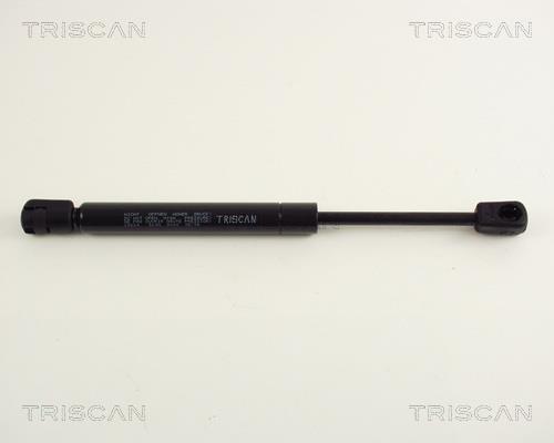 Vérin (Vérin de hayon) Triscan A/S 8710 24224
