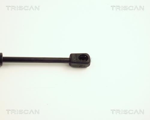 Vérin (Vérin de hayon) Triscan A/S 8710 24224