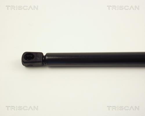 Vérin (Vérin de hayon) Triscan A/S 8710 24225