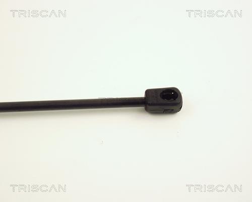 Vérin (Vérin de hayon) Triscan A/S 8710 24225