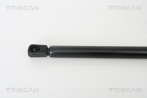 Vérin (Vérin de hayon) Triscan A/S 8710 24226